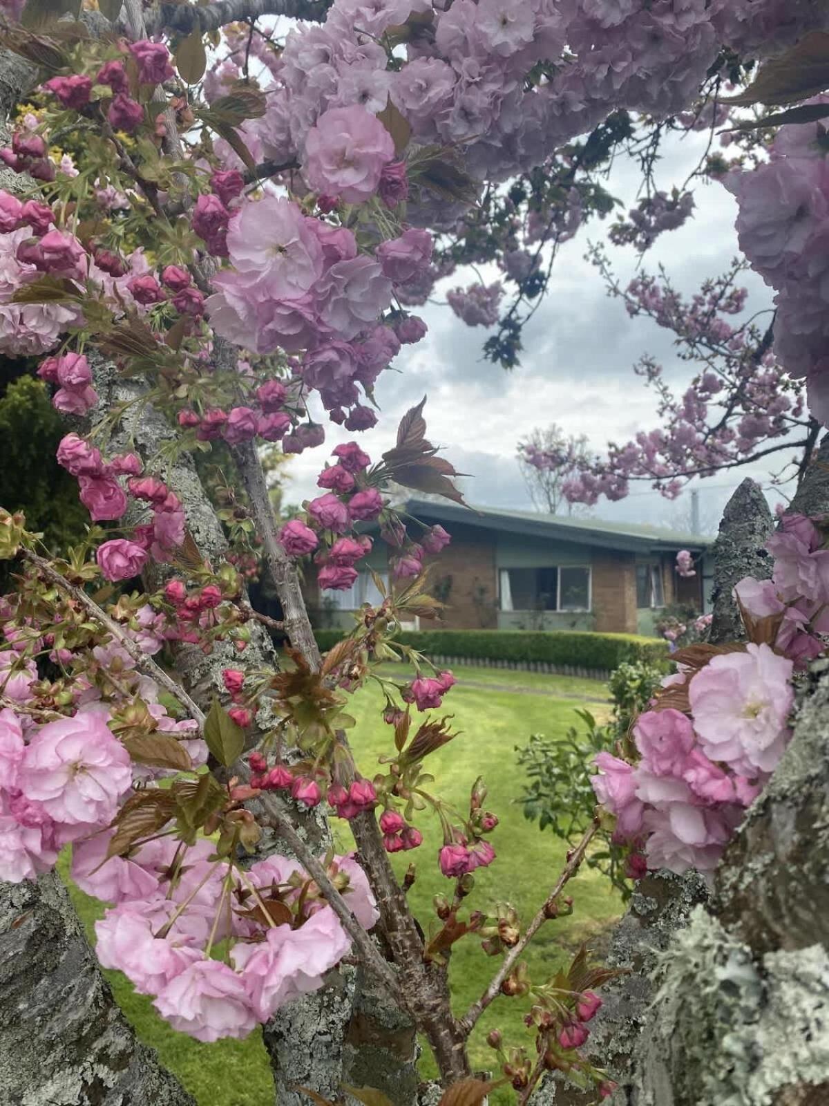 Roselake Retreat Rotorua Eksteriør bilde